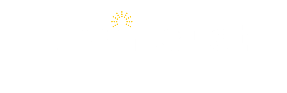 Braintrust SPARK